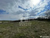 Teren intravilan pentru investitie, 2896 mp, Herneacova Timis 