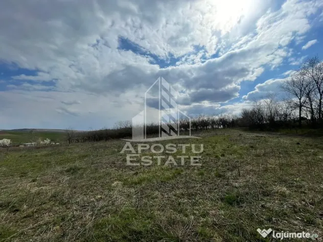 Teren intravilan pentru investitie, 2896 mp, Herneacova Timis - Herneacova (Timis)