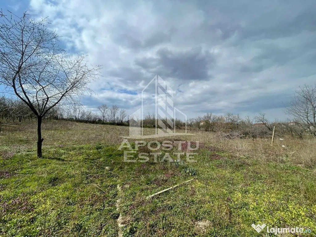 Teren intravilan pentru investitie, 2896 mp, Herneacova Timis - Herneacova (Timis)