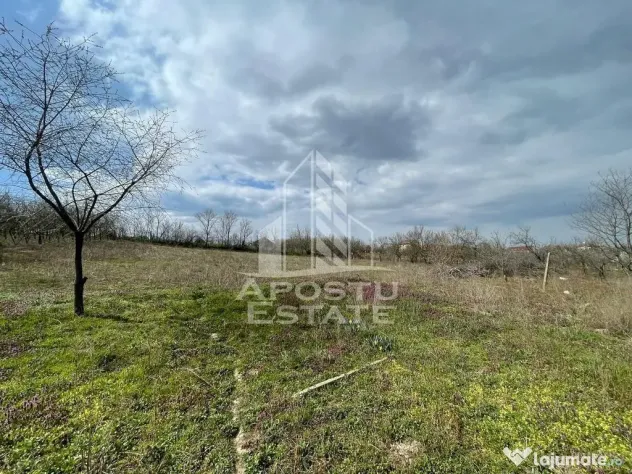 Teren intravilan pentru investitie, 2896 mp, Herneacova Timis - Herneacova (Timis)