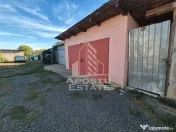 Apartament cu 2 camere de vanzare, Peciu Nou, Judet Timis 