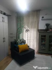 Studio in Remetea Mare 