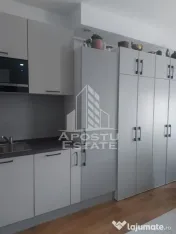 Studio in Remetea Mare 
