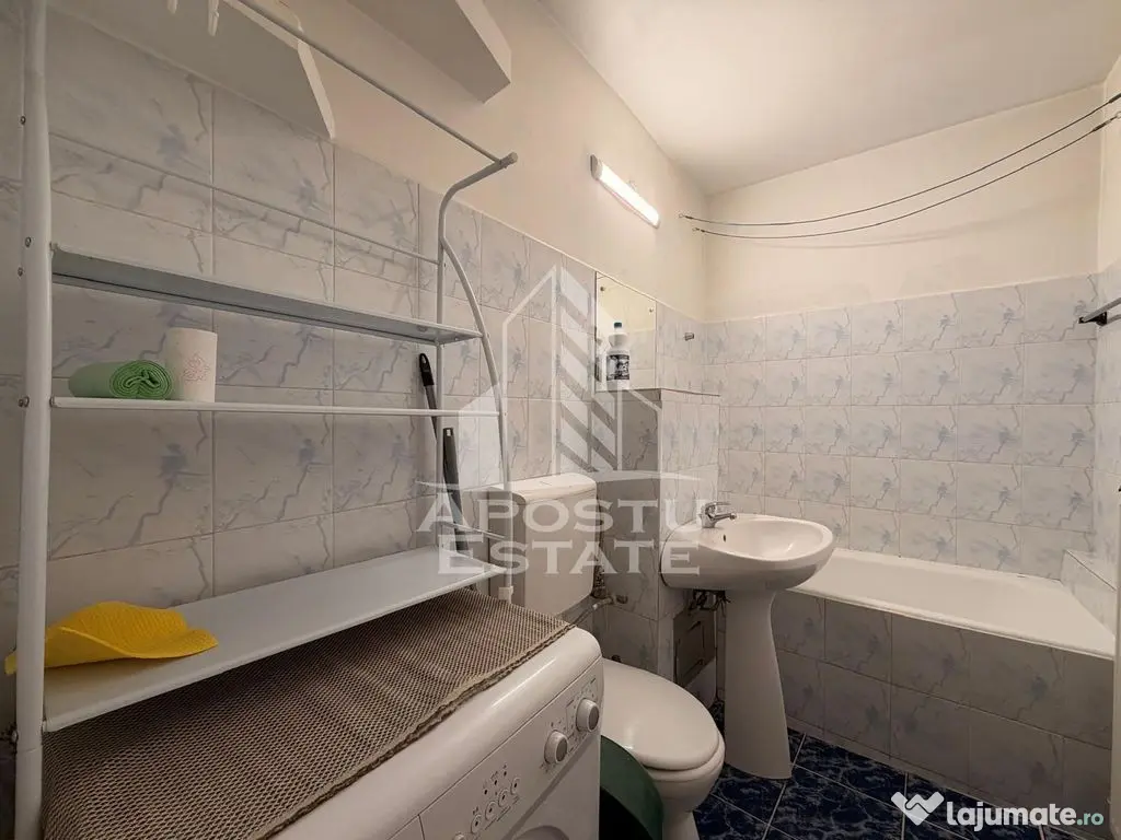 Apartament cu 1 camera de vanzare, zona Lipovei, Timisoara - Timisoara (Timis)