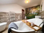 Casa 4 camere de vanzare, 2 bai, teren 535 Mp, Mosnita Noua 