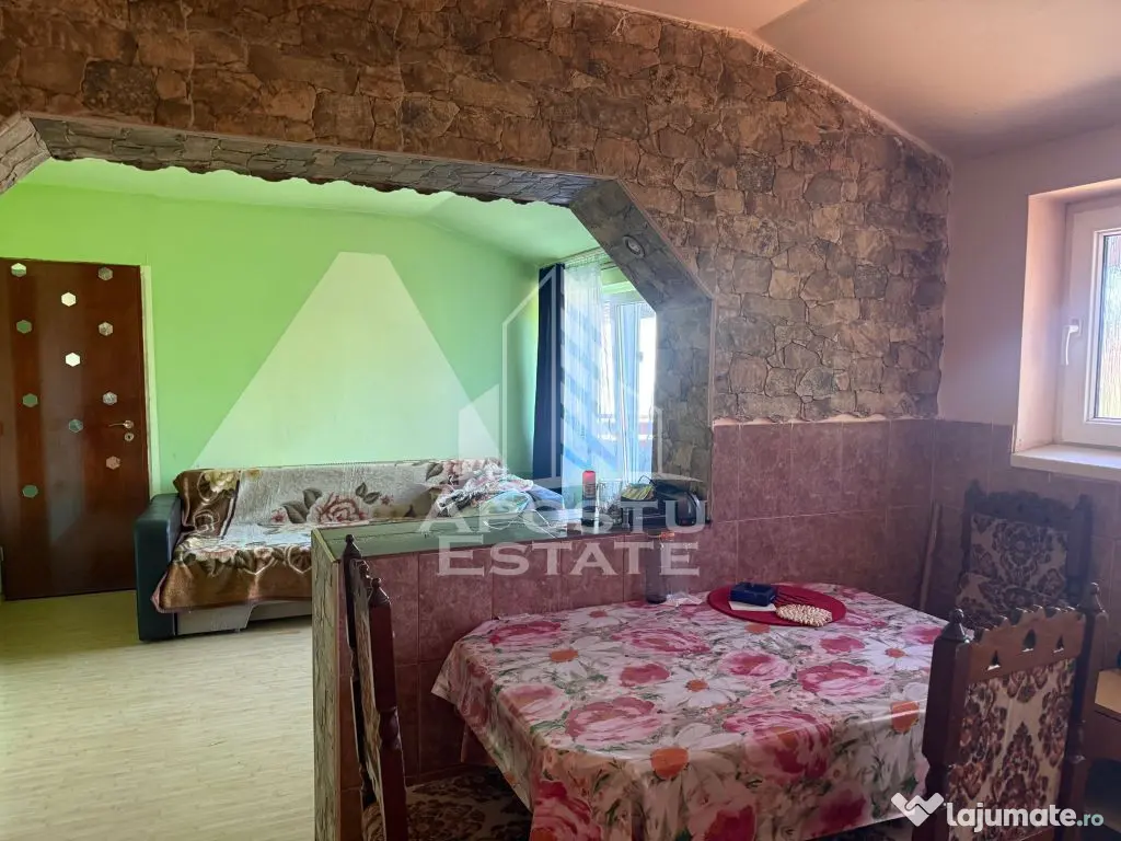 Casa individuala cu 193 mp utili in Timisoara - Timisoara (Timis)