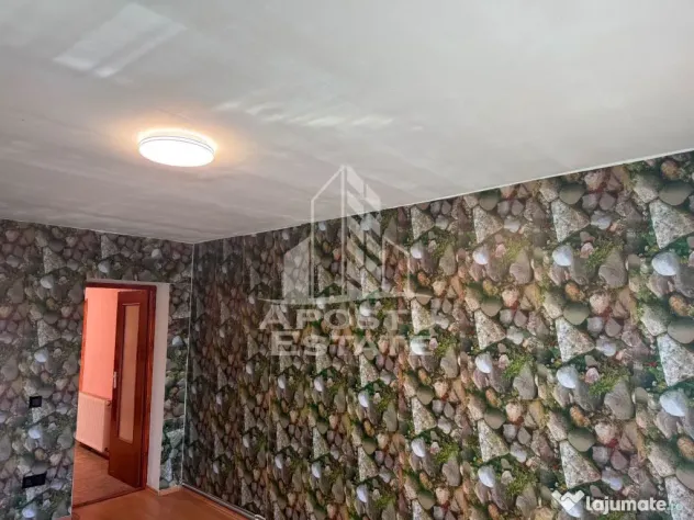 Casa individuala cu 193 mp utili in Timisoara - Timisoara (Timis)