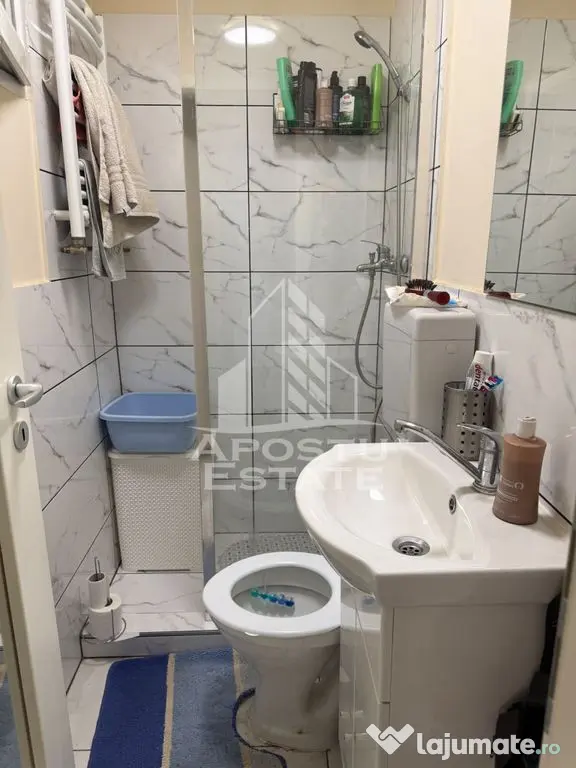 Casa individuala cu 193 mp utili in Timisoara - Timisoara (Timis)