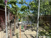 Casa individuala cu 193 mp utili in Timisoara 