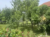 Casă unifamilială în Ghiroda cu teren generos 1752 mp 