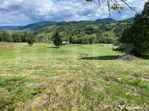 Teren extravilan, 18000 mp, zona Sud-Est