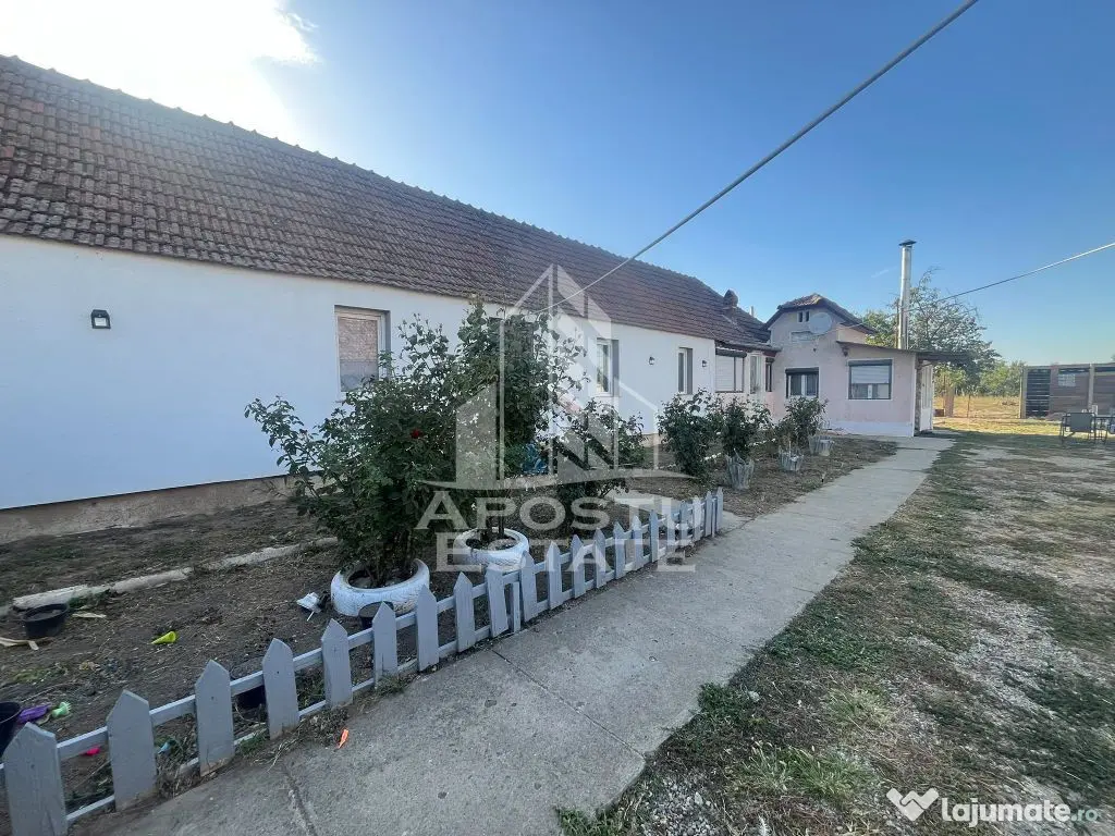 Casa individuala, Felnac - Felnac (Arad)