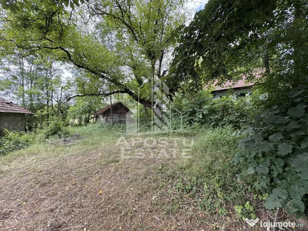 Teren partial intravilan de 7492mp, la 15 minute de Deva, in Fornadia - Fornadia (Hunedoara)