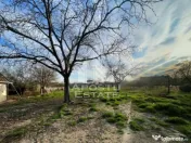 Teren intravilan, zona Sannicolau Mic