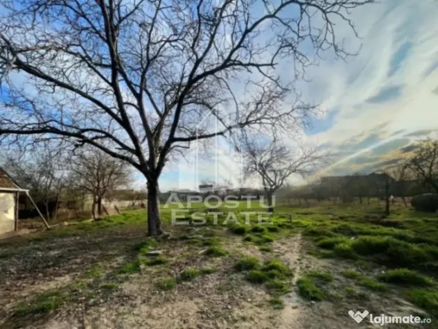 Teren intravilan, zona Sannicolau Mic - Arad (Arad)