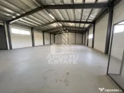 Hala 450 mp + 100 mp birouri, depozitare, service auto, Mosnita