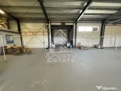 Hala 450 mp + 100 mp birouri, depozitare, service auto, Mosnita