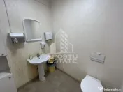 Hala 450 mp + 100 mp birouri, depozitare, service auto, Mosnita
