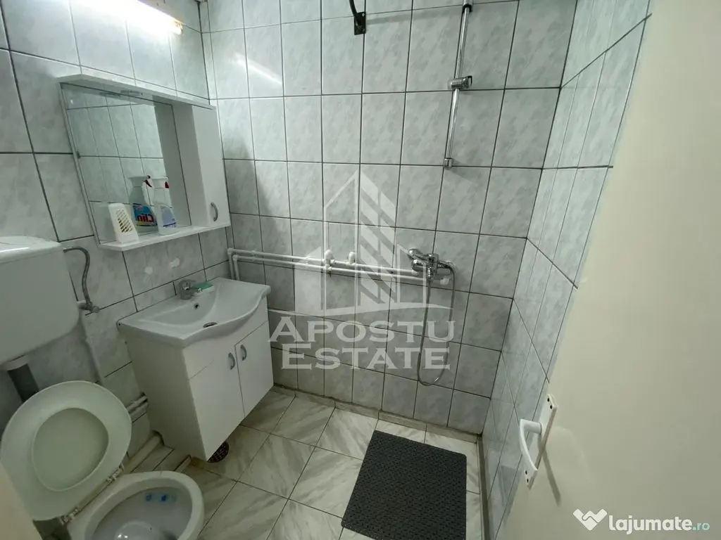 Apartament cu 1 camera de inchiriat-zona Complexului Studentesc, - Timisoara (Timis)