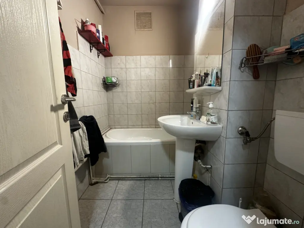 Apartament cu o camera la parter- zona Freidorf - Timisoara (Timis)