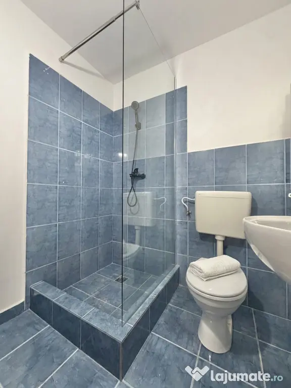 Garsoniera renovata, parter, zona Lipovei - Timisoara (Timis)