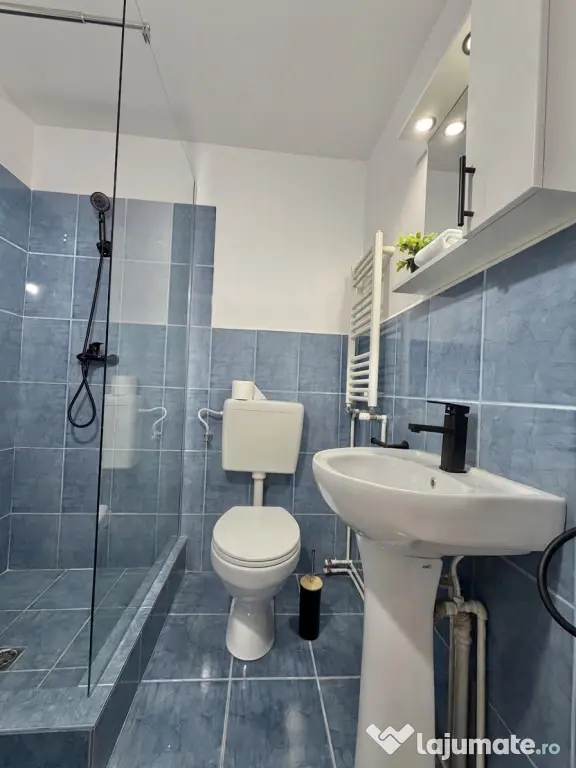 Garsoniera renovata, parter, zona Lipovei - Timisoara (Timis)