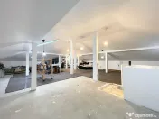 Casa Individuala parter 120mp + pod mansardat - Urseni 