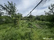 Teren 997 mp + casa de demolat - zona Bogdanestilor Timisoar 