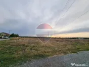 Loturi de teren intravilan de vanzare Branesti / Strada Violetelor 
