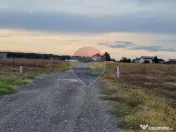 Loturi de teren intravilan de vanzare Branesti / Strada Violetelor 
