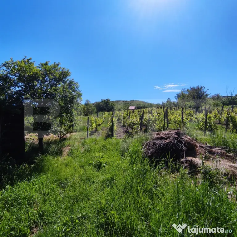 Teren de vanzare, 3471 mp, zona Uricani - Uricani (Iasi)