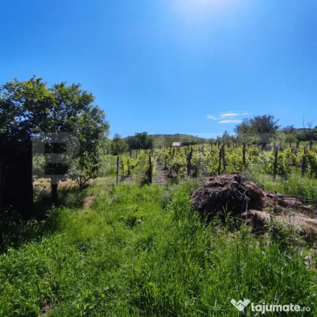 Teren de vanzare, 3471 mp, zona Uricani - Uricani (Iasi)
