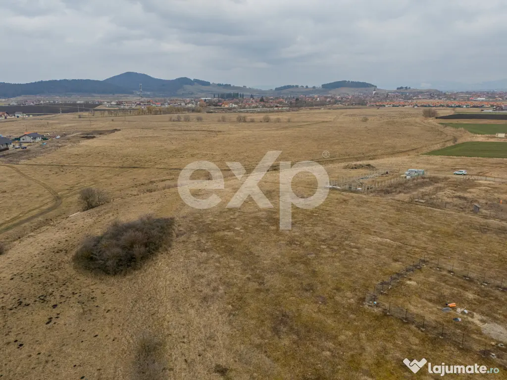 Teren cu potential de investitie, 461 mp, utilitati in zona - Sanpetru (Brasov)
