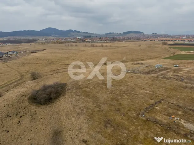 Teren cu potential de investitie, 461 mp, utilitati in zona - Sanpetru (Brasov)