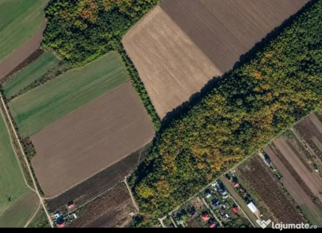 Teren de vanzare