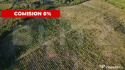 Teren de vânzare – 56.200 mp, cu priveliște superbă spr 