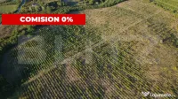 Teren de vânzare – 56.200 mp, cu priveliște superbă spr 