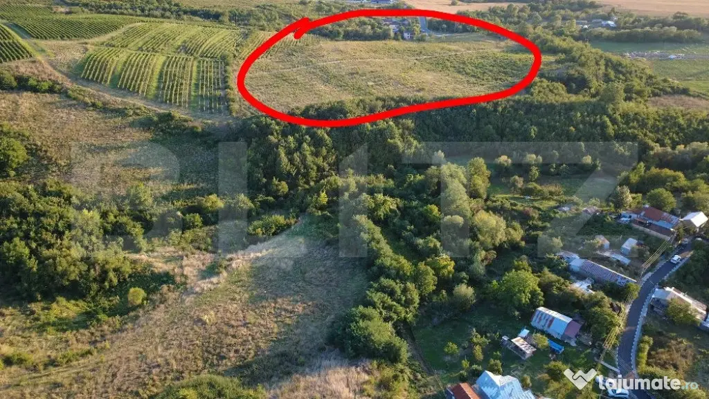 Teren de vânzare – 56.200 mp, cu priveliște superbă spr - Bucov (Prahova)