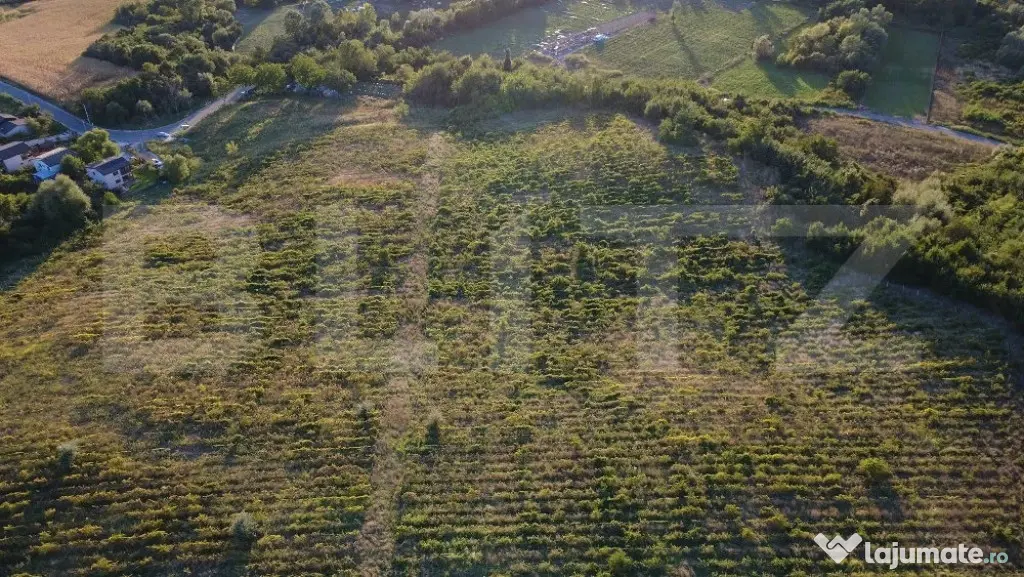 Teren de vânzare – 56.200 mp, cu priveliște superbă spr - Bucov (Prahova)