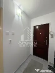 Apartament cu 1 cameră de vânzare, renovat, Lipovei, Timisoara