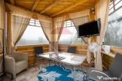 CASA VACANTA si CASA LA ROSU/938 mp teren SATU NOU/HALCHIU 