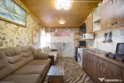CASA VACANTA si CASA LA ROSU/938 mp teren SATU NOU/HALCHIU 