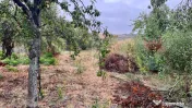 Teren intravilan, 4400 mp, zona Centrală - Urechești 