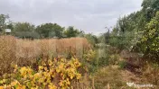 Teren intravilan, 4400 mp, zona Centrală - Urechești 