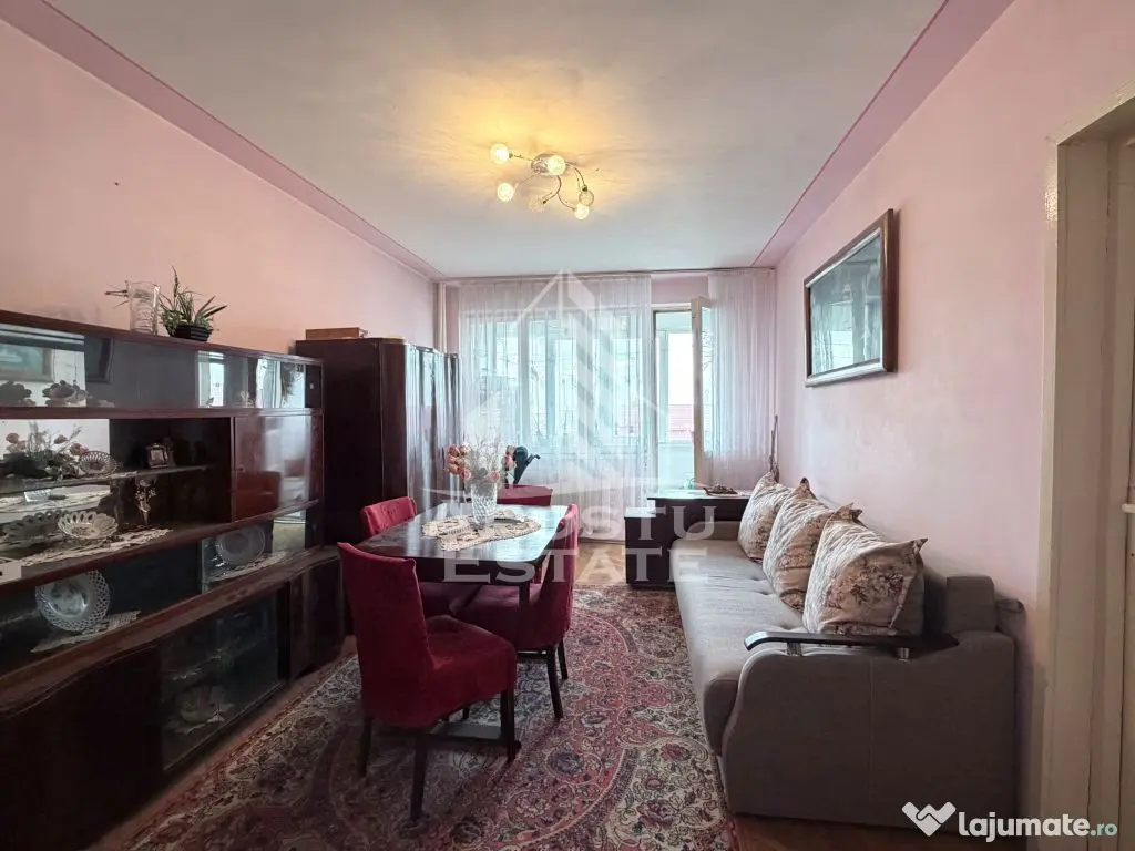 Apartament de vanzare doua camere decomandat Sagului - Timisoara (Timis)