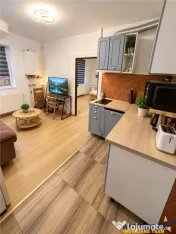 Apartament cochet, renovat, mobilat, echipat, semineu, regim 
