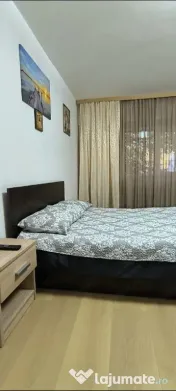 Baba novac campia libertatii muncii