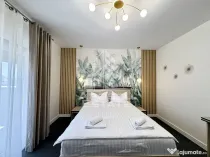 Vila in Mosnita Noua - Oportunitate de investitie sau casa ideala.