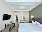 Vila in Mosnita Noua - Oportunitate de investitie sau casa ideala. 