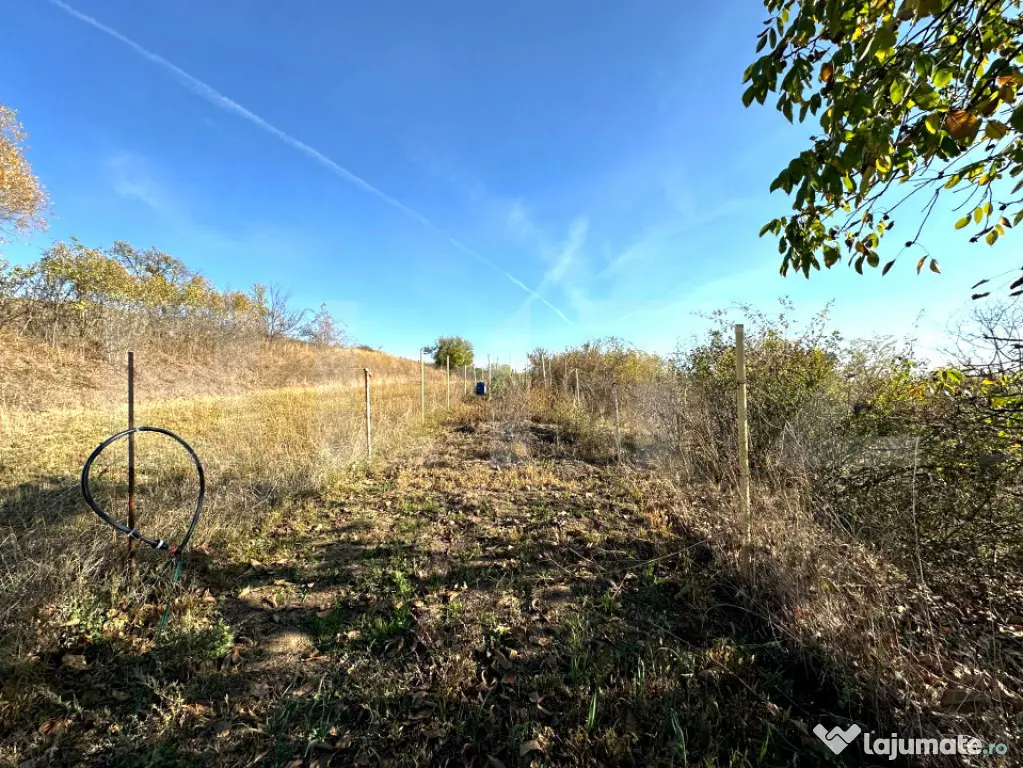 Cabana de 100 mp utili plus teren 400mp – Alba Iulia, Băr - Alba Iulia (Alba)